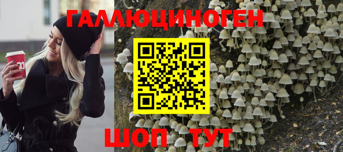 Дивногорск  Галлюциногенные грибы ЛСД  Вход с VPN  Галлюциногенные грибы мухоморы 
