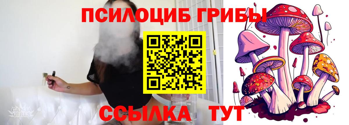Галлюциногенные грибы мицелий Дивногорск