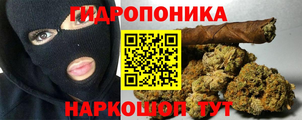 Каннабис конопля Дивногорск